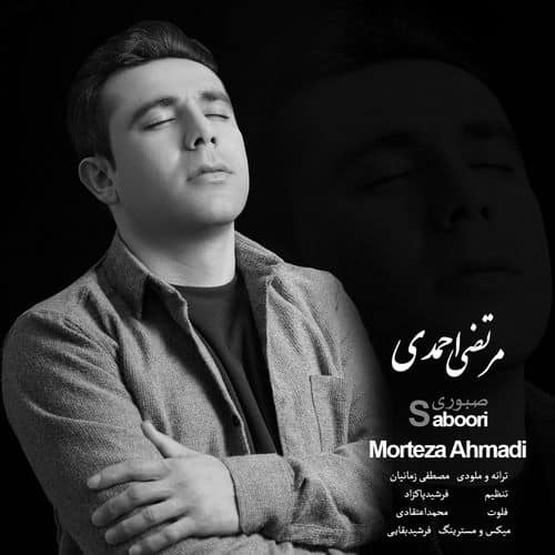 مرتضی احمدی صبوری