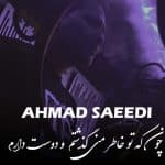 دانلود آهنگ احمد سعیدی چون که تو خاطر منی گذشتم و دوست دارم