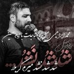 دانلود آهنگ محمد ابراهیمی اصل به نام شد شد نشد میرم کربلا