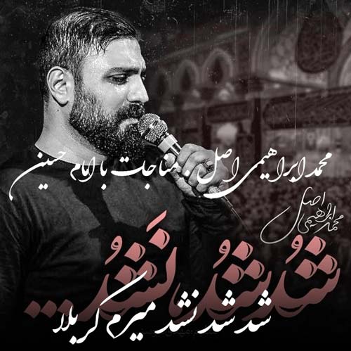 محمد ابراهیمی اصل شد شد نشد میرم کربلا