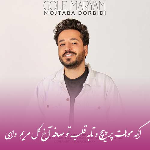 مجتبی دربیدی اگه موهات پر پیچ و تابه قلب تو صافه آخ گل مریم وای