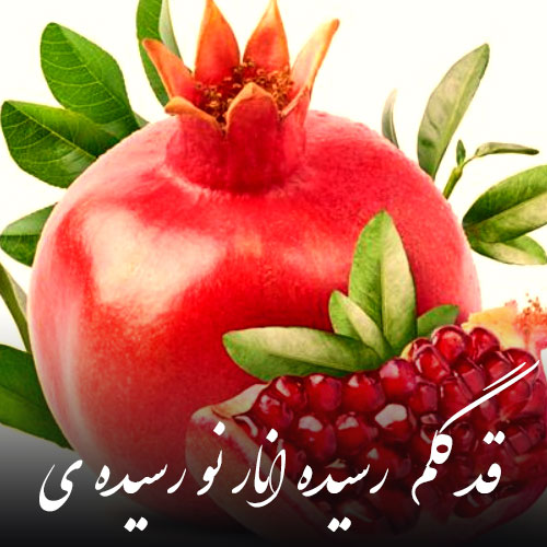 دانلود آهنگ قد گلم کشیدیه انار نو رسیده ی