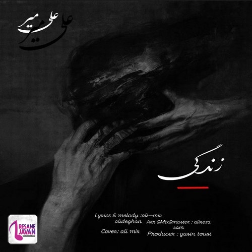 علی میر زندگی
