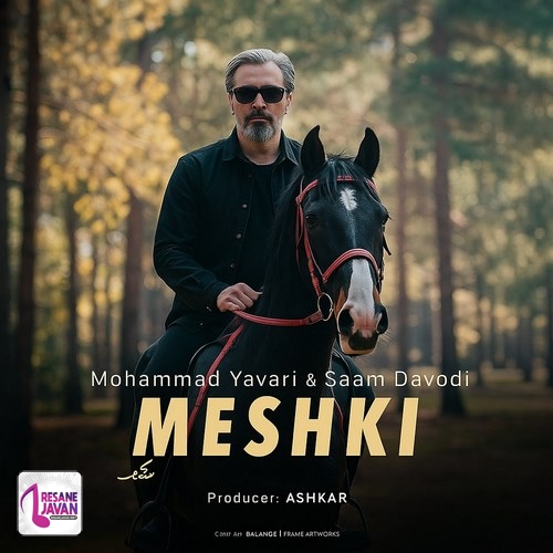 محمد یاوری مشکی