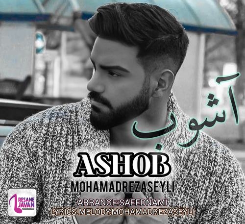 محمدرضا سیلی آشوب
