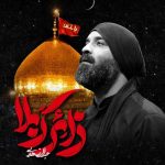 دانلود مداحی عبدالرضا هلالی زائر کربلا