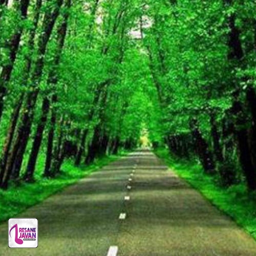بچه های ایران (رژه و کیا) راه رفتنت خندیدنت رقصیدنت منو کشته
