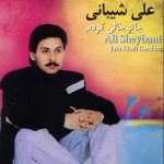 دانلود آهنگ هرجا دلم راضی بود سازی و آوازی بود علی شیبانی
