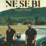 دانلود آهنگ سعید عسرا نه سه بی