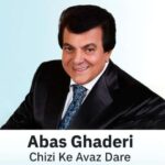 دانلود آهنگ عباس قادری چیزی که عوض داره گله نداره
