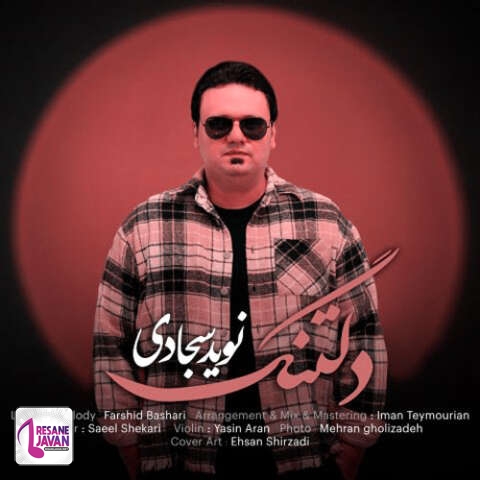دانلود آهنگ نوید سجادی دلتنگ
