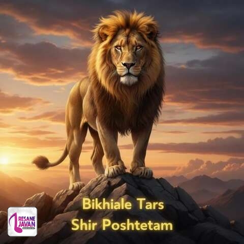 دانلود آهنگ ترند اینستا بیخیال ترس مثل شیر پشتتم