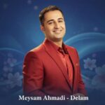 دانلود آهنگ میثم احمدی دلم سیر است از این دنیای فانی