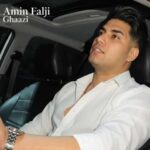 دانلود آهنگ امین فالجی قاضی یه جرمه بنه پام