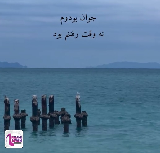دانلود آهنگ جوان بودوم نه وقت رفتنم بود چو گل بودوم نه وقت چیدنم بود