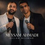 دانلود آهنگ لت و پاره توام ای سبزه رخ همشهری میثم احمدی
