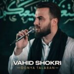دانلود مداحی وحید شکری دنیا طلبان دل نگرانی دارند