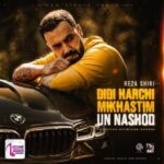 دانلود آهنگ رضا شیری دیدی هرچی میخواستیم اون نشد دانلود آهنگ رضا شیری دیدی هرچی میخواستیم اون نشد