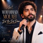 دانلود آهنگ دل به دل راه داره صد قل هو الله داره محمد مولایی