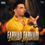 دانلود آهنگ فرهاد فرهادی دلم بی قراره دلم تنگ تنگه
