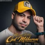دانلود آهنگ مسعود جلیلیان گل میخرم برات میریزم سر رات