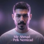 دانلود آهنگ میر احمد پلک نمیزد
