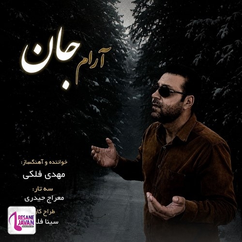دانلود آهنگ مهدی فلکی آرام جان
