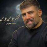 دانلود آهنگ محمد محرمی دلتنگتم خیلی لیلی لیلی لیلی تو که نباشی پیش من به زندگی میلی