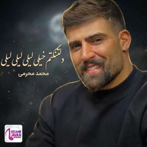 دانلود آهنگ محمد محرمی دلتنگتم خیلی لیلی لیلی لیلی تو که نباشی پیش من به زندگی میلی