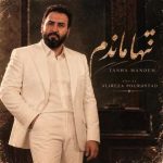 دانلود آهنگ علیرضا پور استاد تنها ماندم تنها رفتی