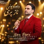 دانلود آهنگ داوود یونسی ناز پری