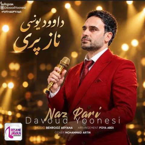 دانلود آهنگ داوود یونسی ناز پری